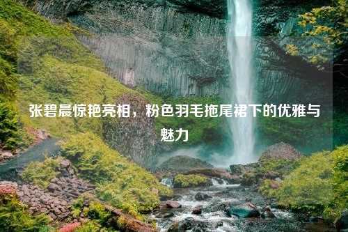 张碧晨惊艳亮相，粉色羽毛拖尾裙下的优雅与魅力