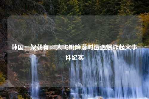 韩国一架载有181人飞机降落时遭遇爆炸起火事件纪实