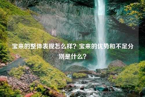 宝来的整体表现怎么样？宝来的优势和不足分别是什么？