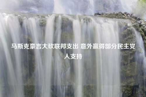 马斯克豪言大砍联邦支出 意外赢得部分民主党人支持