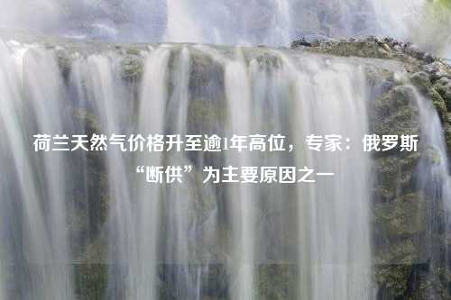 荷兰天然气价格升至逾1年高位，专家：俄罗斯“断供”为主要原因之一