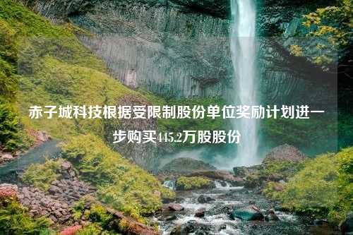 赤子城科技根据受限制股份单位奖励计划进一步购买445.2万股股份