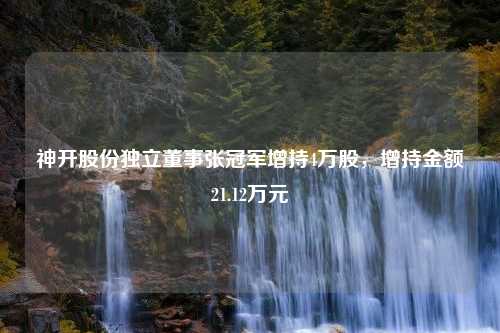 神开股份独立董事张冠军增持4万股，增持金额21.12万元