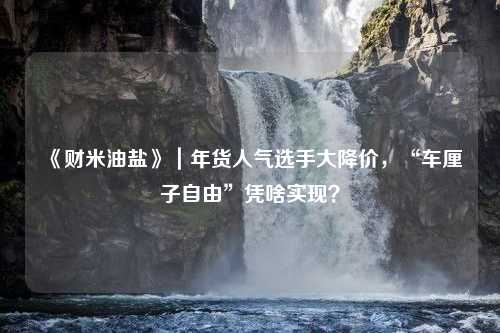 《财米油盐》｜年货人气选手大降价，“车厘子自由”凭啥实现？