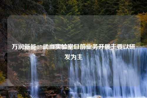 万润新能：武当实验室目前业务开展主要以研发为主